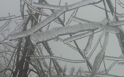 May you have bright smiles and bright “lights” for Christmas